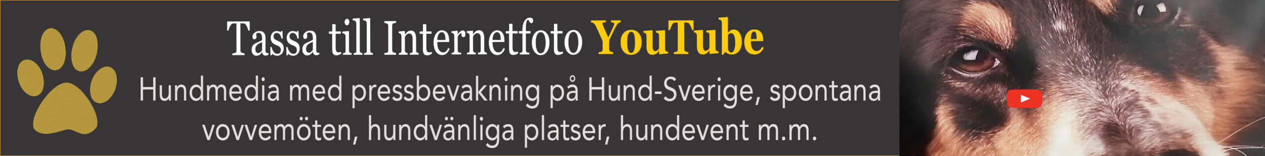 Internetfoto YouTube